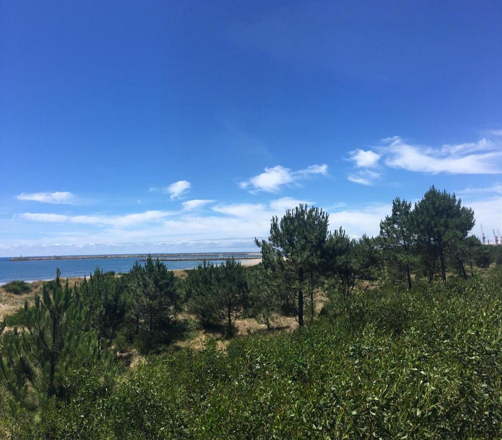 Cabedelo Beach Apartment Viana do Castelo Bagian luar foto